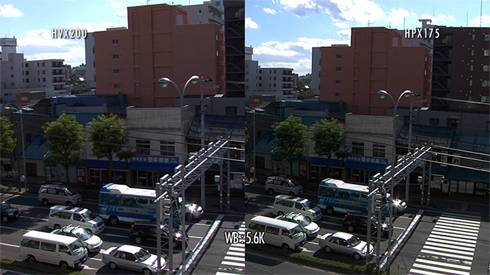 HPX175日中の比較